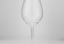 Wine glass clubhouse per set van 2